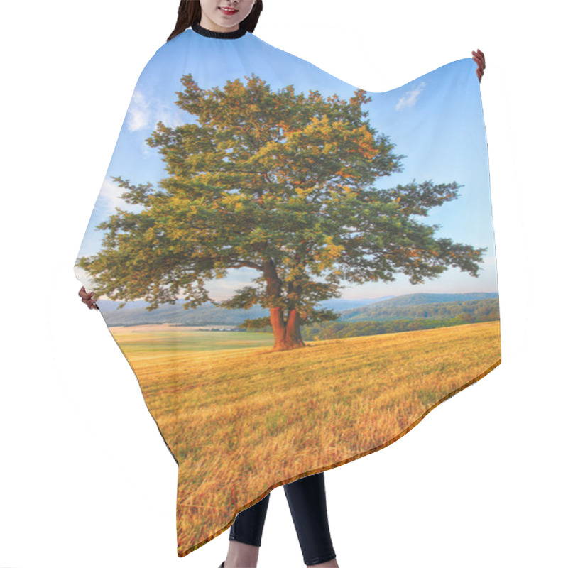 Personality  Tree On Meadow Hair Cutting Cape