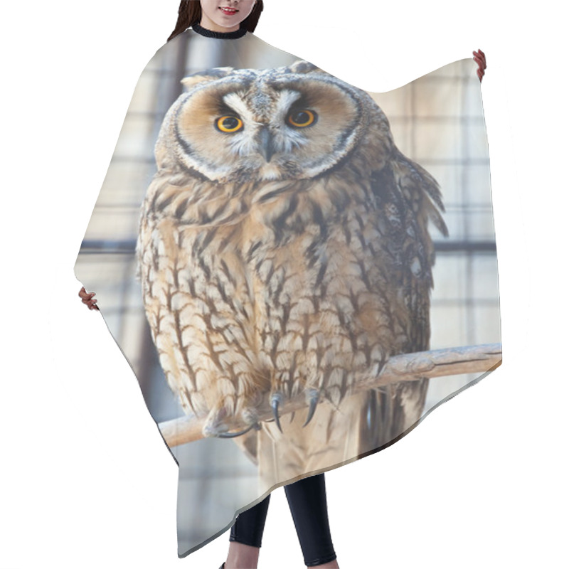 Personality  Owl In The Zoo Hair Cutting Cape