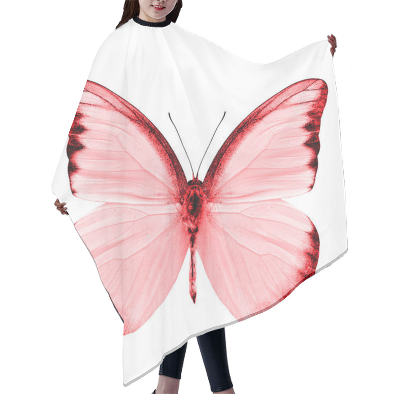 Personality  Beautiful Red Butterfly Isolated On White Background Hair Cutting Cape