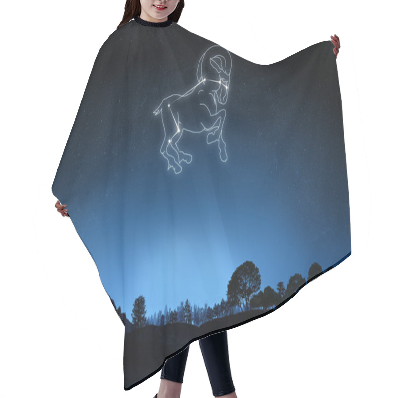 Personality  Zodiac Aries Hair Cutting Cape