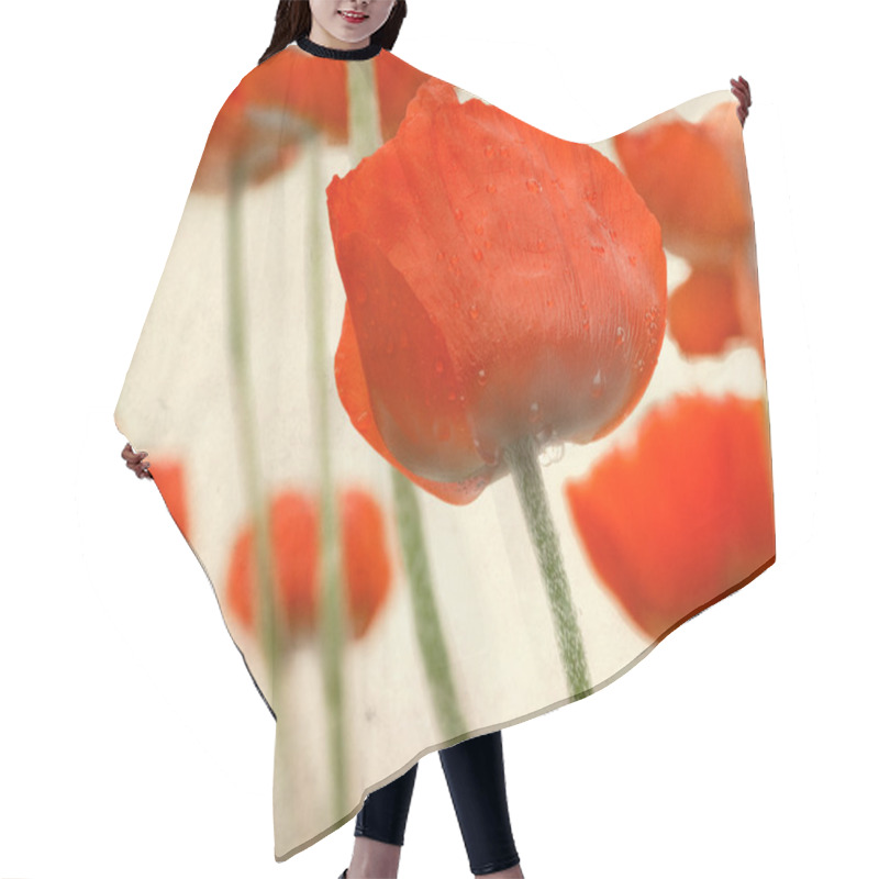 Personality  Poppy Flowers Over Grunge Background Hair Cutting Cape