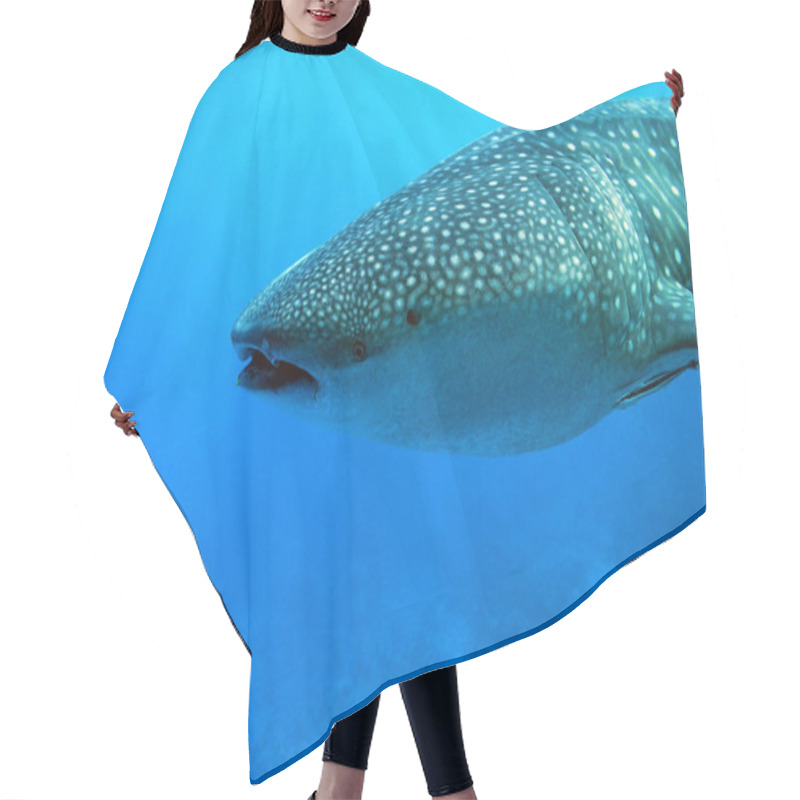 Personality  Whale Shark Approaching Hair Cutting Cape