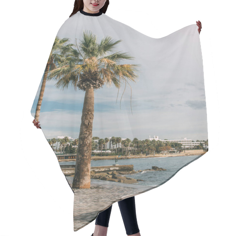 Personality  Sunlight On Green Palm Tees Near Sea Against Blue Sky With Clouds  Hair Cutting Cape