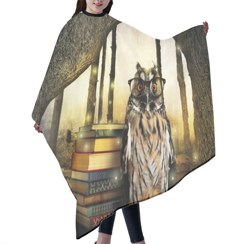 Personality  Beautiful Wise Owl Near Books In Fantasy World Hair Cutting Cape