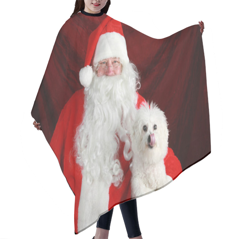 Personality  Christmas Santa Claus. Christmas Bichon Frise Dog. Santa Claus Holds A Bichon Frise Dog. Santa Holds His Bichon Frise Dog. Santa Holds His Pure Breed Bichon Frise Dog For A Christmas Photo. Merry Christmas.  Hair Cutting Cape