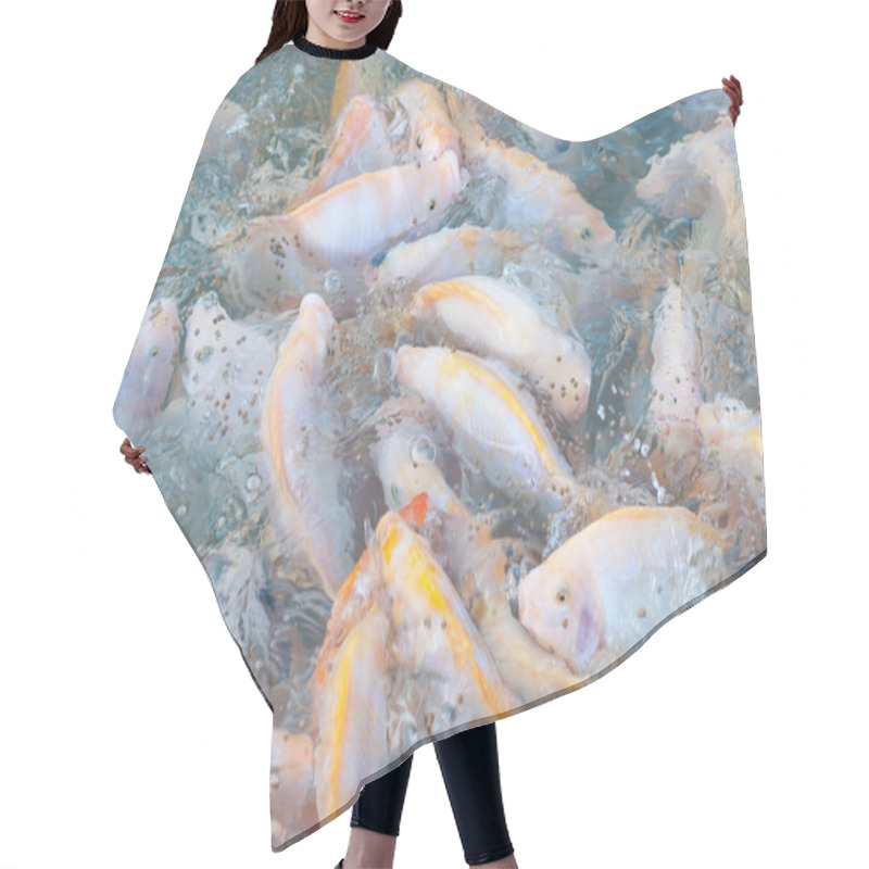 Personality  Nile Tilapia Farm Hair Cutting Cape