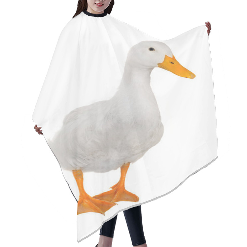 Personality  Duck White Hair Cutting Cape