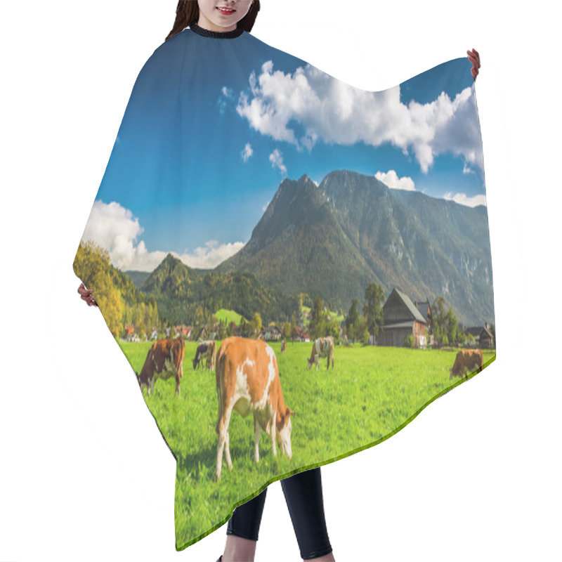 Personality  Herd Of Cows Grazing In Alps Hair Cutting Cape