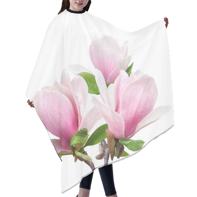 Personality  Tender Spring Pink Magnolia Flower Isolated On White Background Hair Cutting Cape