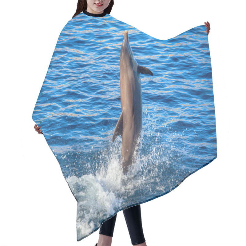 Personality  Jumping Dolphin In Blue Sea Water  Hair Cutting Cape