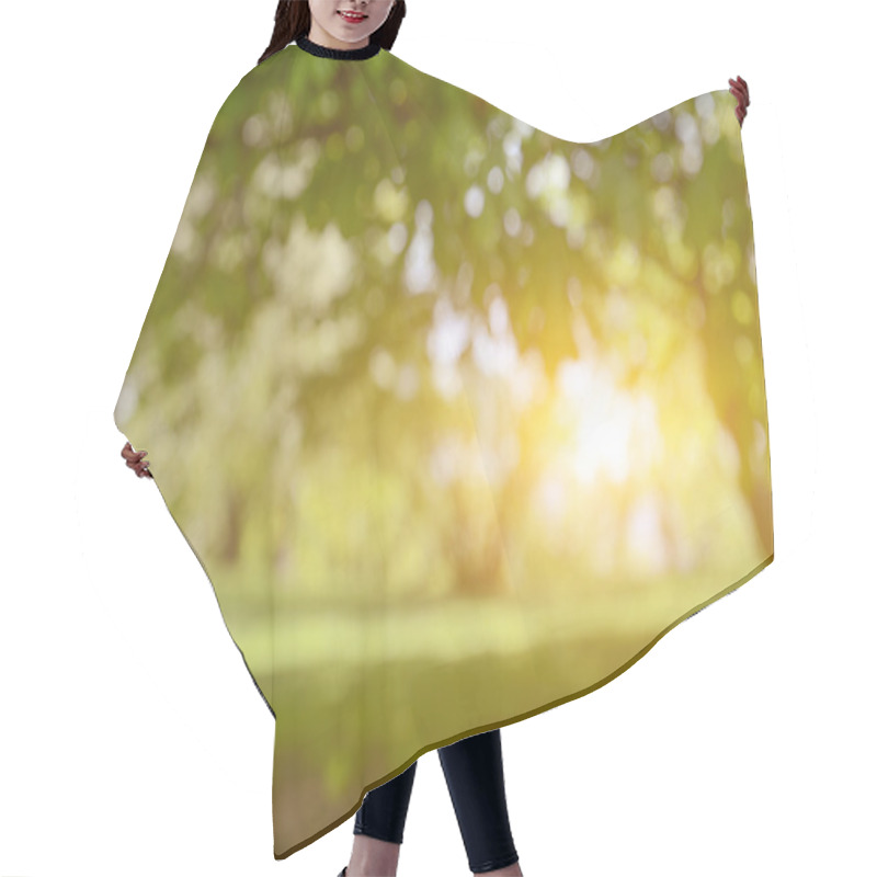 Personality  Blurred Nature Background Hair Cutting Cape