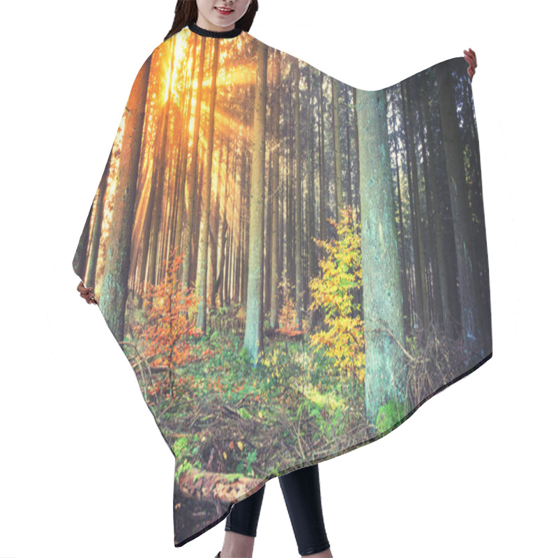 Personality  Autumn Landscape With Sunset In Forest Hair Cutting Cape