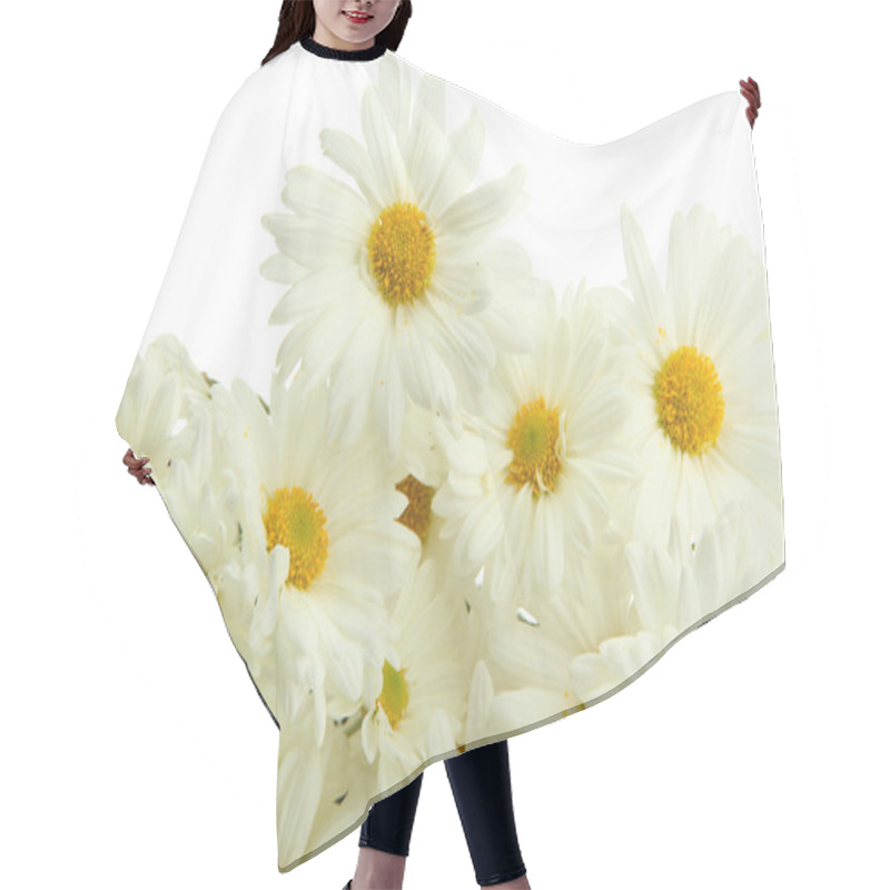 Personality  Bouquet Of Beautiful Daisies Flowers, Close Up Hair Cutting Cape