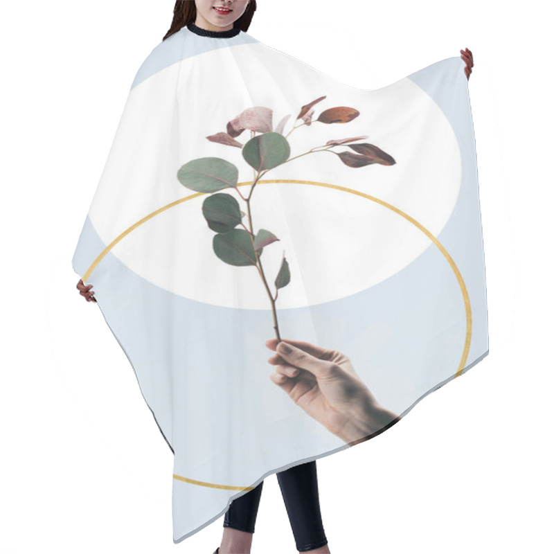 Personality  Cropped View Of Woman Holding Eucalyptus Branch Isolated On Light Blue With Golden And White Circles Hair Cutting Cape