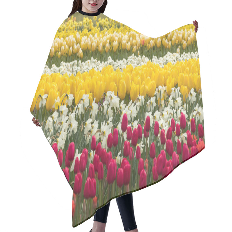 Personality  Tulip Fields In The Bollenstreek Hair Cutting Cape