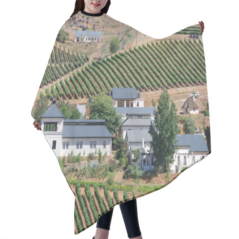 Personality  Vineyards Of Stellenbosch Wine Region Outside Of Cape Town South Hair Cutting Cape