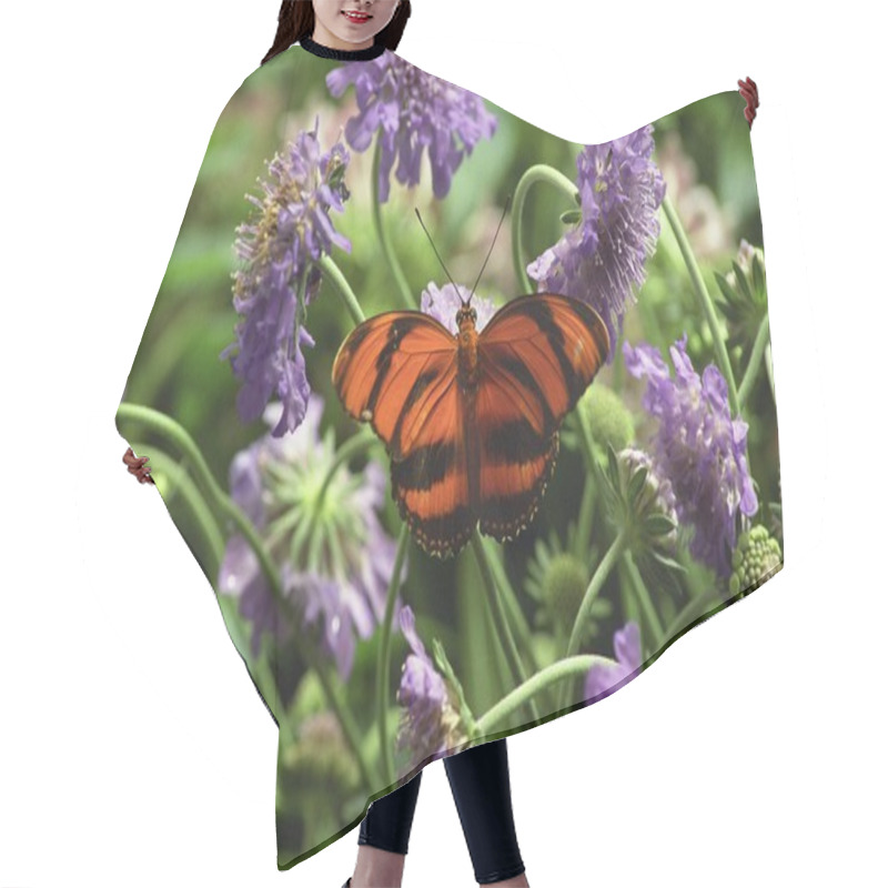 Personality  Butterfly Hair Cutting Cape