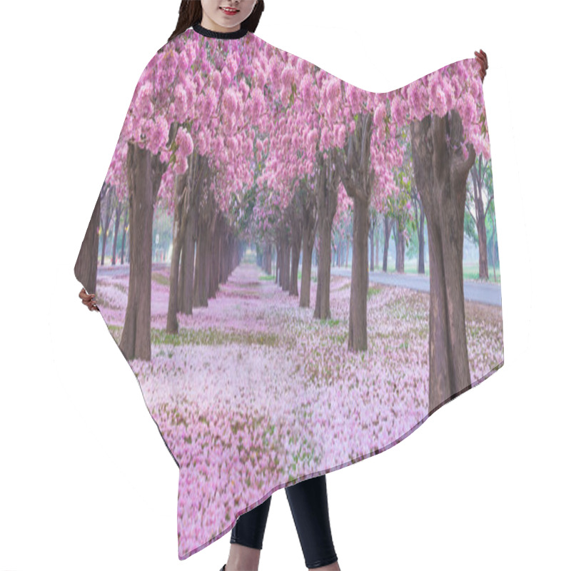 Personality  Scenery Of Park Footpath With Blossoming Cherry Trees In Pink Hair Cutting Cape