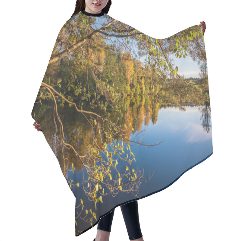 Personality  Autumn Trees That Light Up By The River By The Sun Under The Beautiful Colors Of Autumn In Swedish Nature Hair Cutting Cape