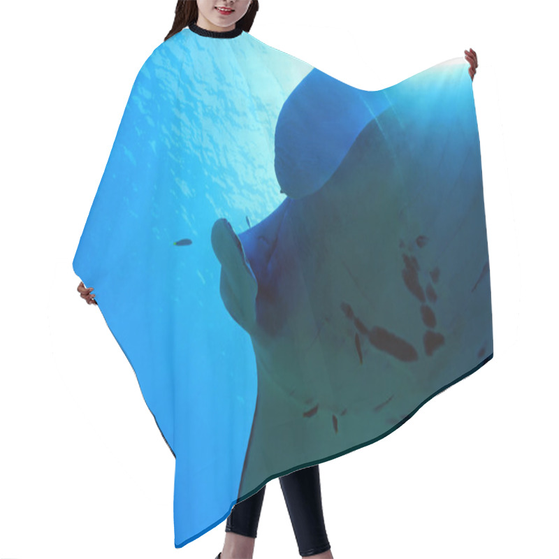 Personality  Manta Ray Hair Cutting Cape