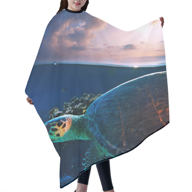 Personality  Sea Turtle Swimming Over Beautiful Coral Reef Hair Cutting Cape