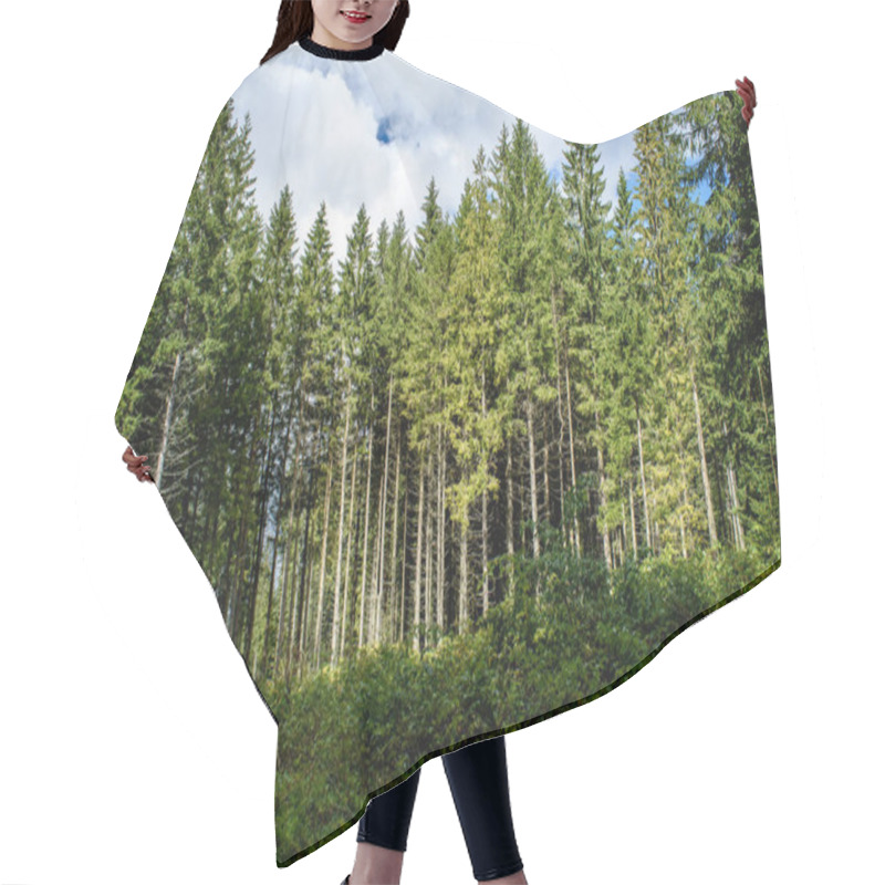 Personality  Tree Trunk Textures In Natural Environment Hair Cutting Cape