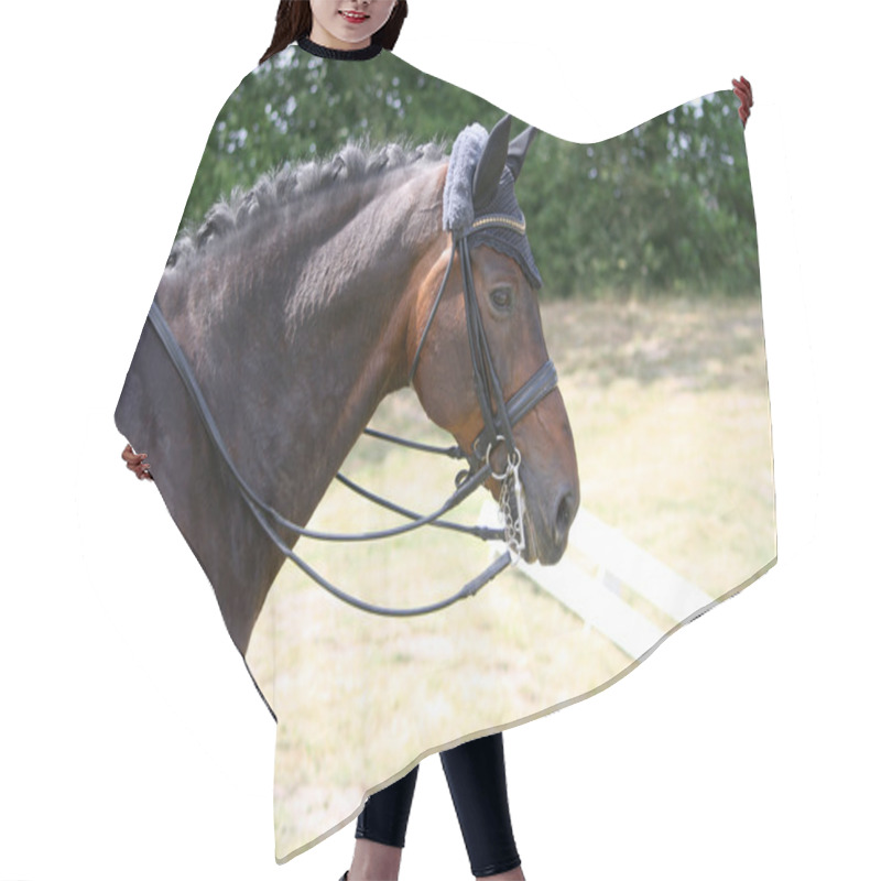 Personality  Horse On A Tournament Hair Cutting Cape