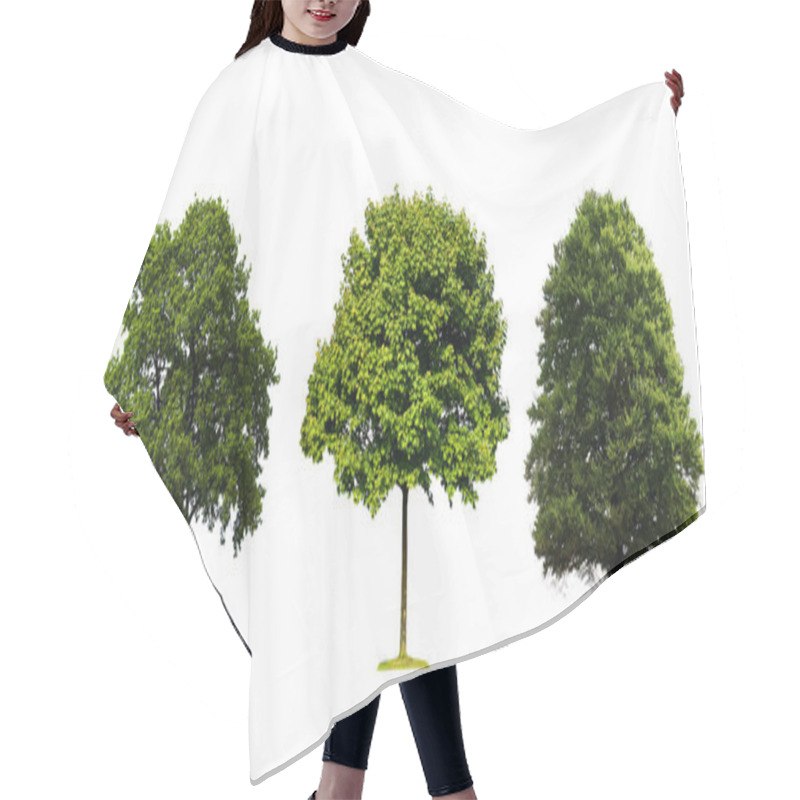 Personality  Fresh Green Trees Isolated On White Background Hair Cutting Cape