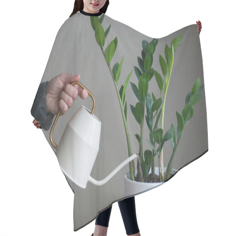 Personality  Person In Grey Sweater Watering Flower Home Plant Zamioculcas Hair Cutting Cape