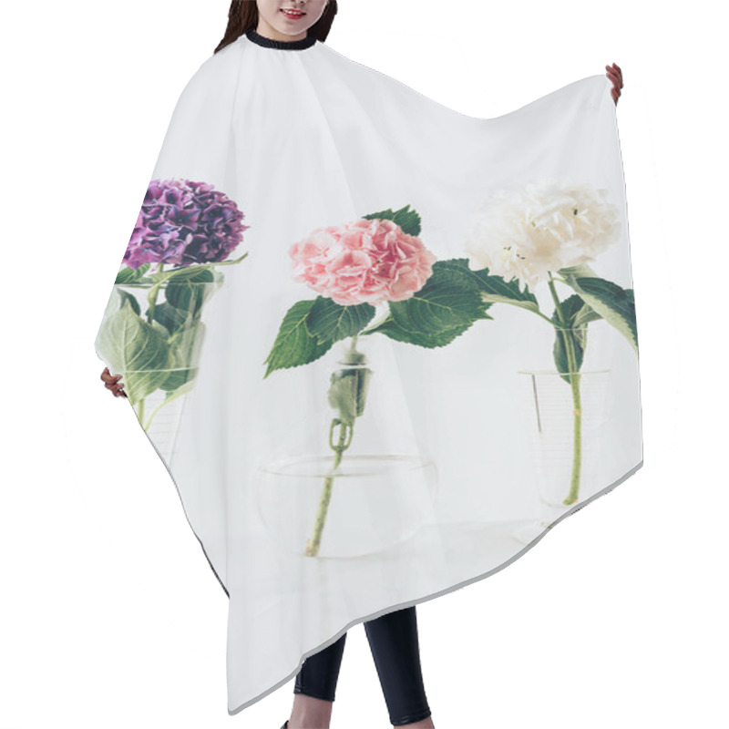 Personality  Blooming Flowers Of Hydrangea In Vases, On White Hair Cutting Cape