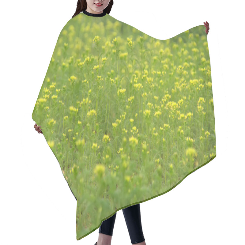 Personality  Large Tracts Of Wild Flowers Hair Cutting Cape