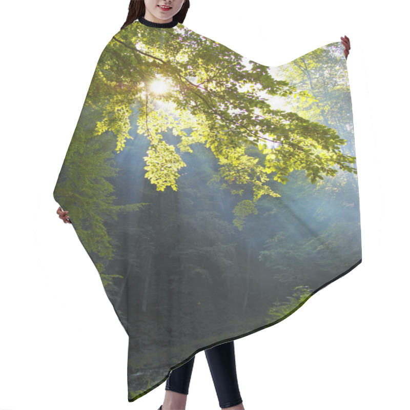 Personality  Morning Sunshine In A Forest Hair Cutting Cape