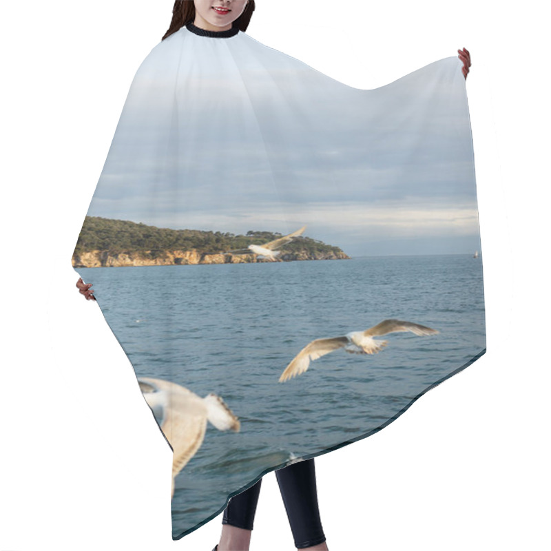 Personality  Blurred Birds Flying Above Sea With Coastline At Background In Turkey  Hair Cutting Cape