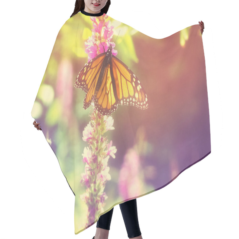 Personality  Monarch Butterfly On Purple Flowers Hair Cutting Cape