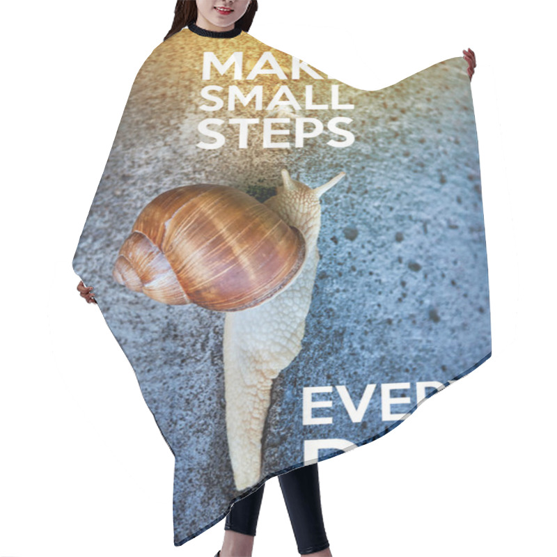 Personality  Inspirational Quote With Words Make Small Steps Every Day. Large Snail Crawling On A Stone Wall. Hair Cutting Cape