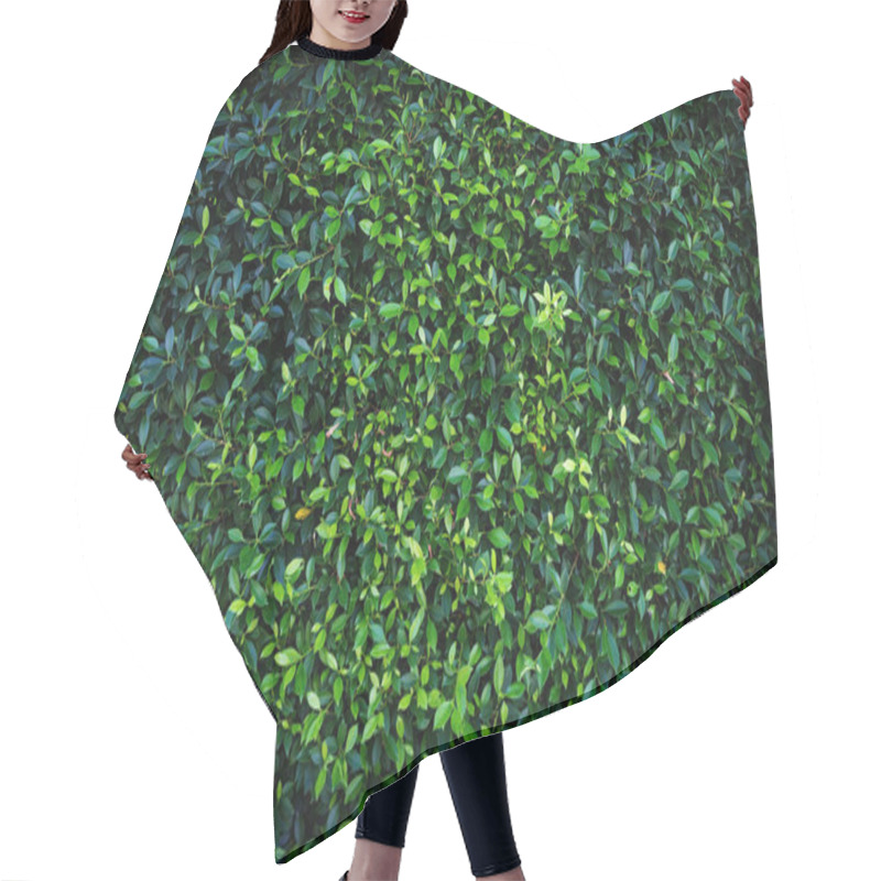 Personality  Green Leaves Natural Wall. Hair Cutting Cape