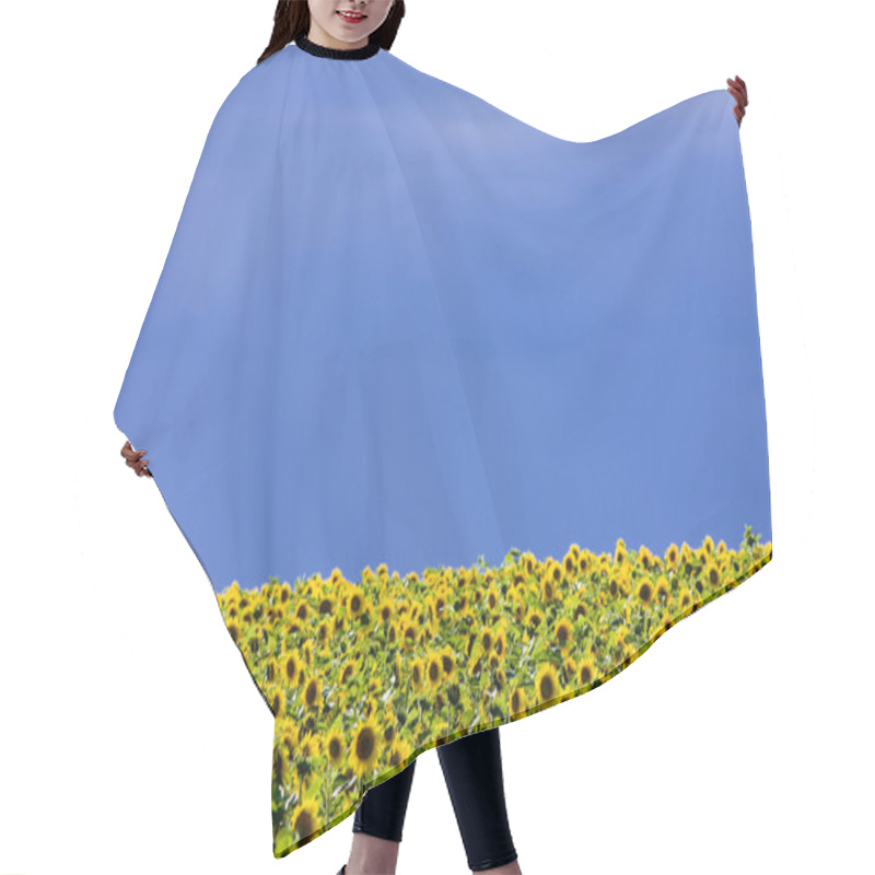 Personality  Sunflowers Hair Cutting Cape