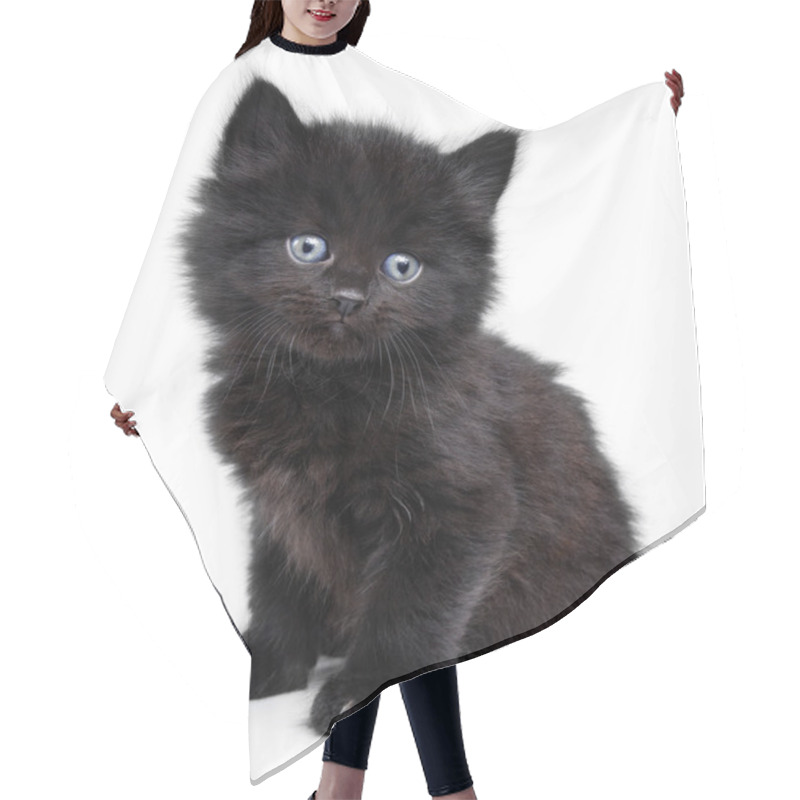 Personality  Black Little Kitten Sitting Down Hair Cutting Cape