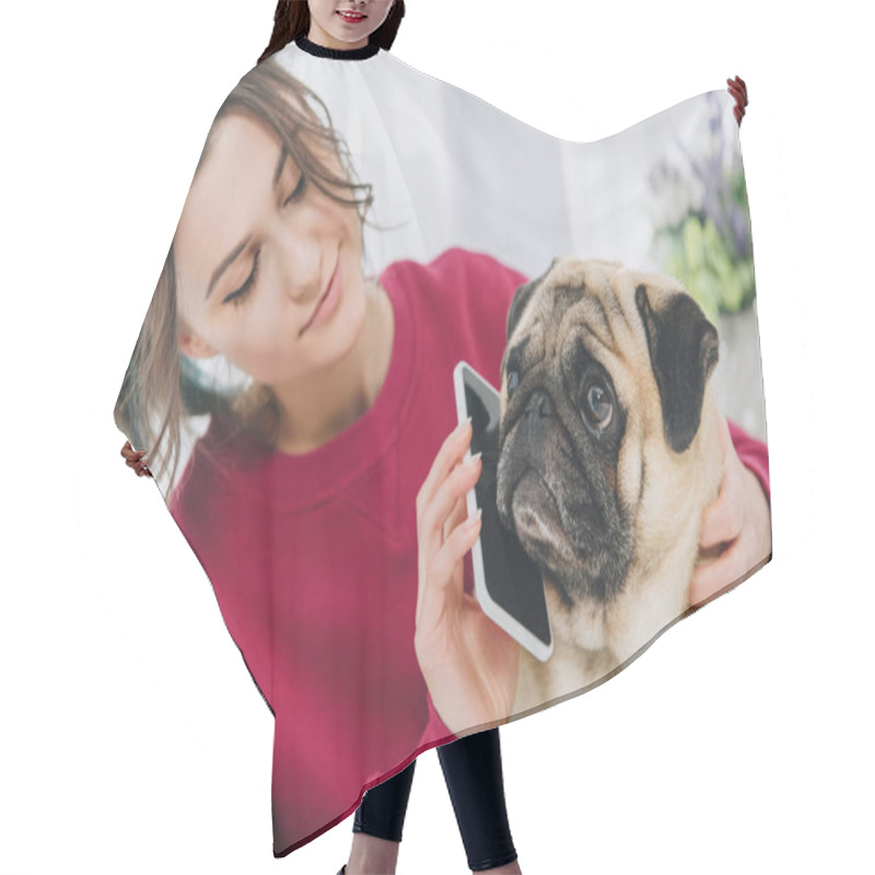 Personality  Attractive Young Girl Giving Pig A Smartphone Hair Cutting Cape