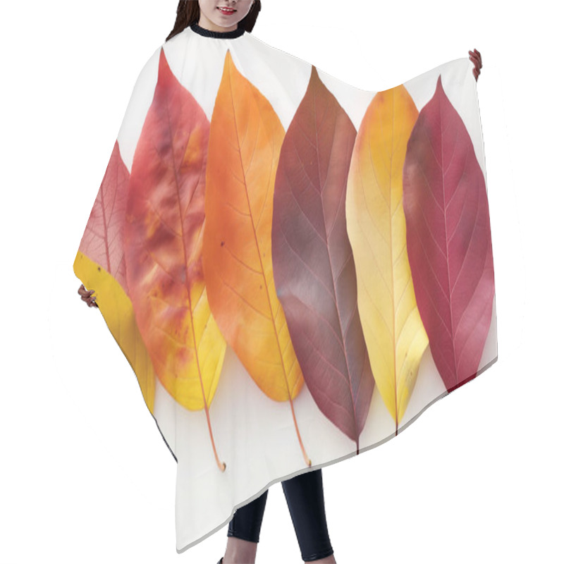 Personality  A Row Of Autumn Leaves In Varying Shades Of Red, Yellow, And Brown, Arranged Neatly Against A White Background, Symbolizing Seasonal Change. Hair Cutting Cape