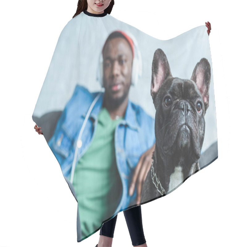 Personality  French Bulldog By Handsome African American Man In Headphones Hair Cutting Cape