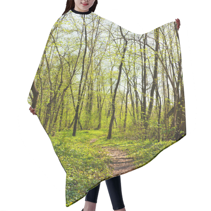 Personality  Trail In The Spring Forest Hair Cutting Cape