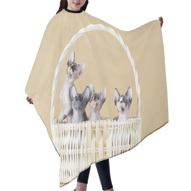 Personality  Four Cute Sphynx Kittens Inside Basket Hair Cutting Cape