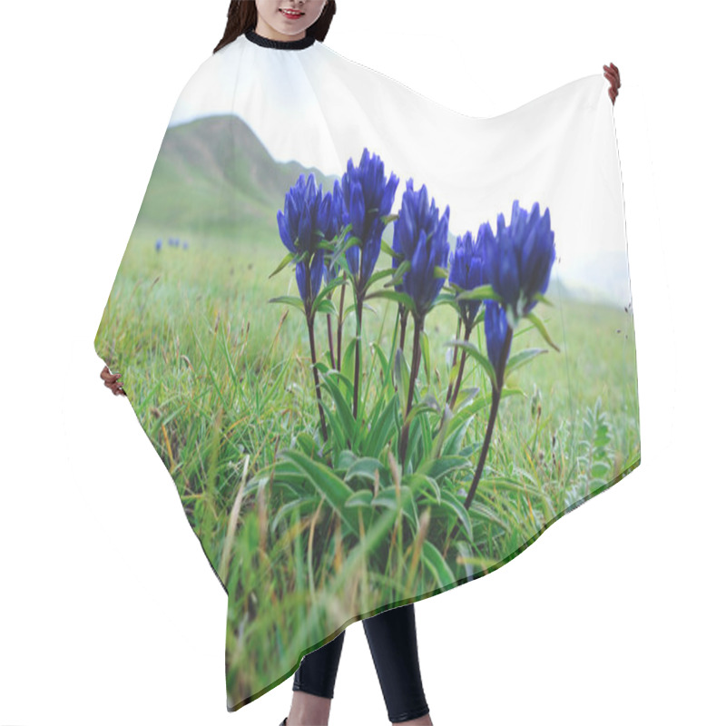 Personality  Blue Beautiful  Flowers Blooming On The Field In China Hair Cutting Cape