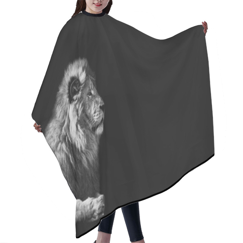 Personality  Lion KIng  Portrait  Hair Cutting Cape