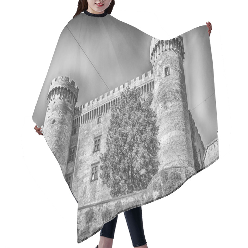 Personality  The Odescalchi Castle Hair Cutting Cape