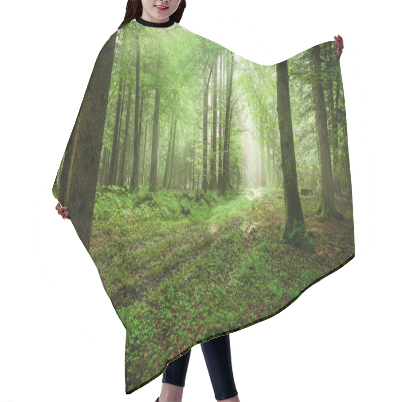 Personality  Misty Morning In Spring Forest Hair Cutting Cape