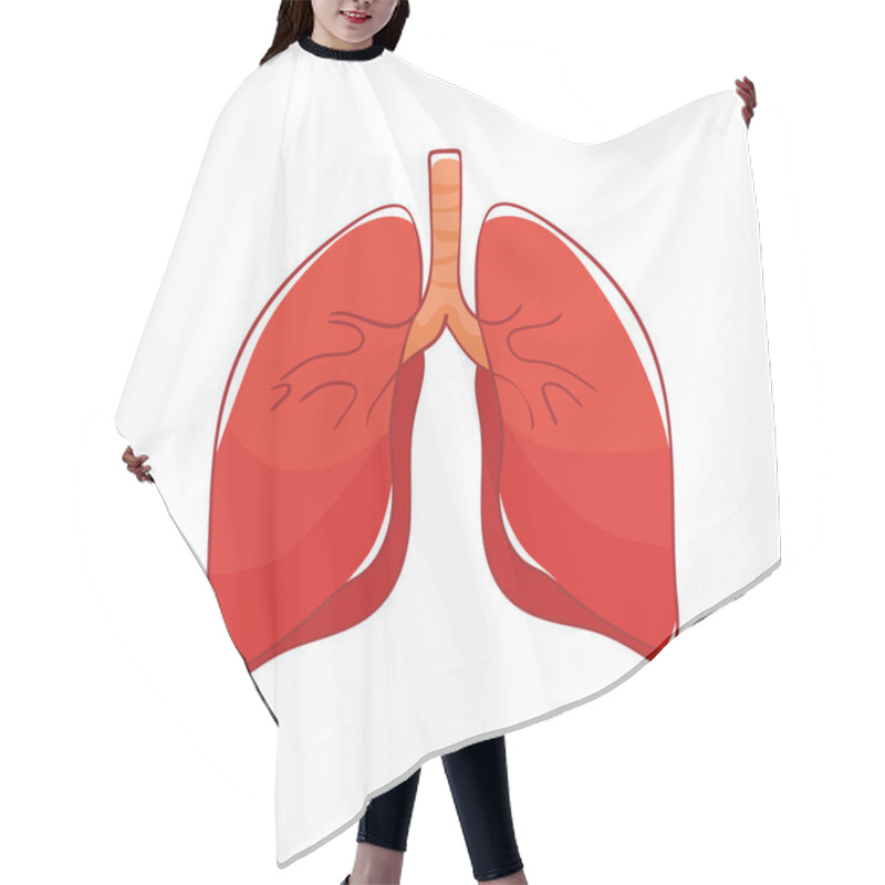 Personality  Vector Lungs On White Background. Doodle Human Organ.  Hair Cutting Cape