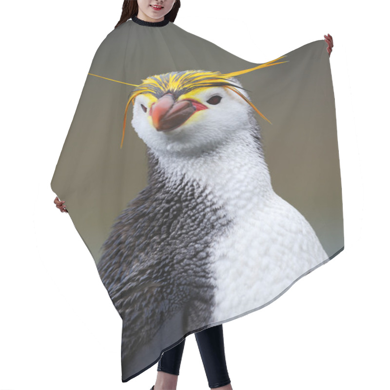 Personality  Royal Penguin Hair Cutting Cape