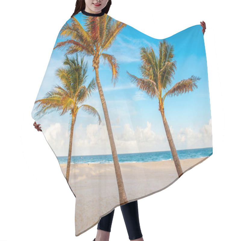 Personality  Beautiful Tropical Nature Florida Landscape. Tall Palm Trees And Sea Ocean Sand Beach At Sunset. Coastal Seashore View With Exotic Plants And Blue Aqua Water. Summer Seasonal Background Outdoors Hair Cutting Cape